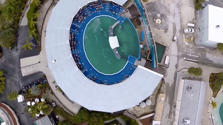 A Drone's-Eye View of the Smallest, Saddest Orca Tank in the US